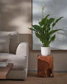 Peace Lily-80cm-Round-Chalk White-Plntd-Lifestyle