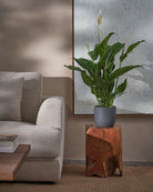 Peace Lily-80cm-Round-Ember-Plntd-Lifestyle