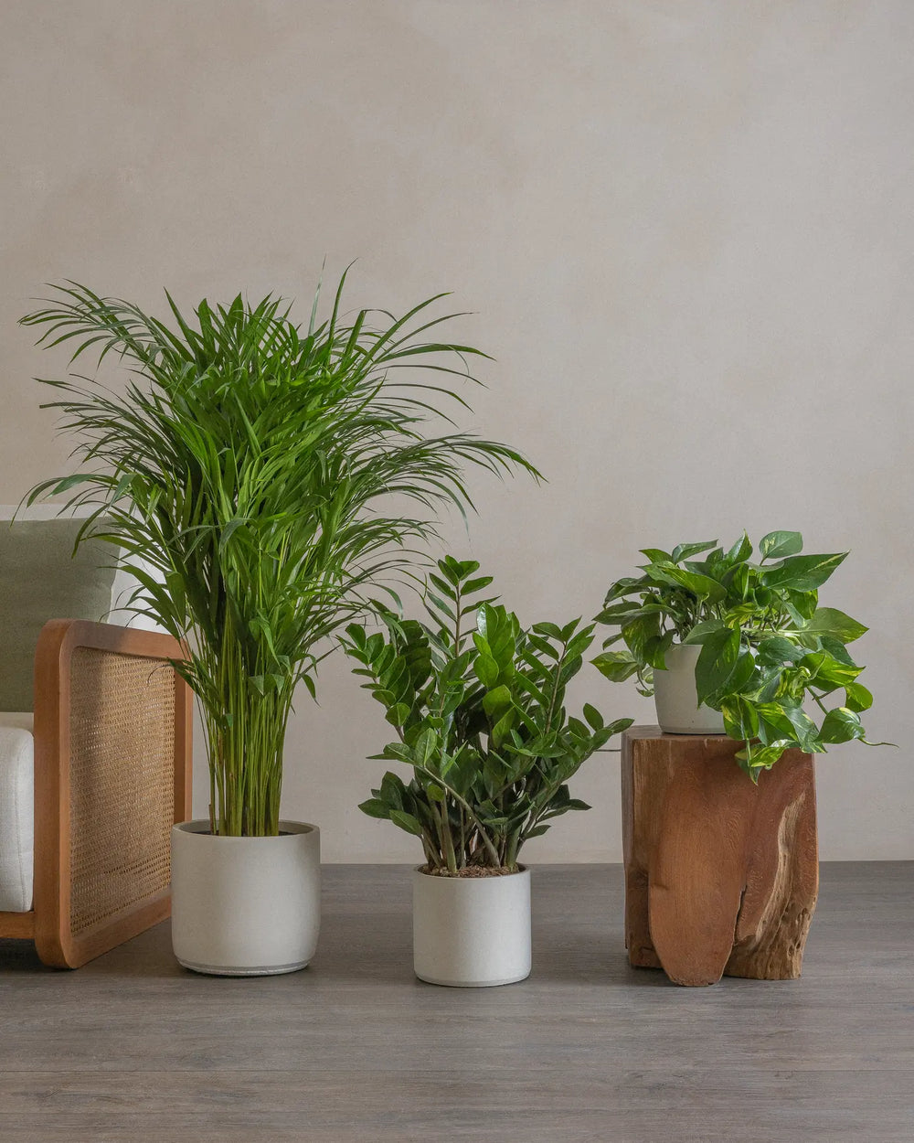 Small-1-Bedroom-Set-50cm-60cm-120cm-Plntd-Lifestyle