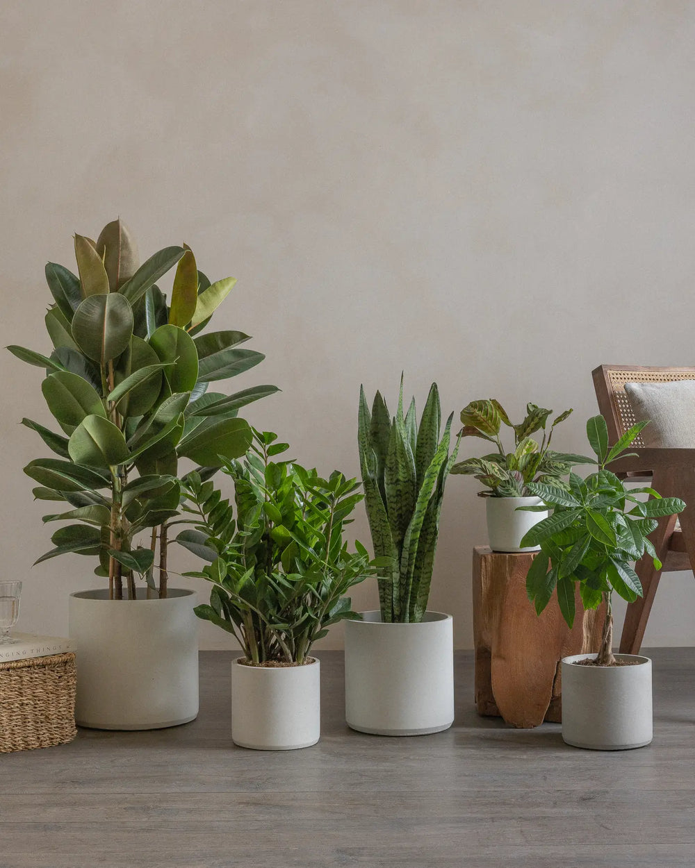 Small-2-Bedroom-Set-30cm-60cm-70cm-80cm-100cm-Plntd-Lifestyle