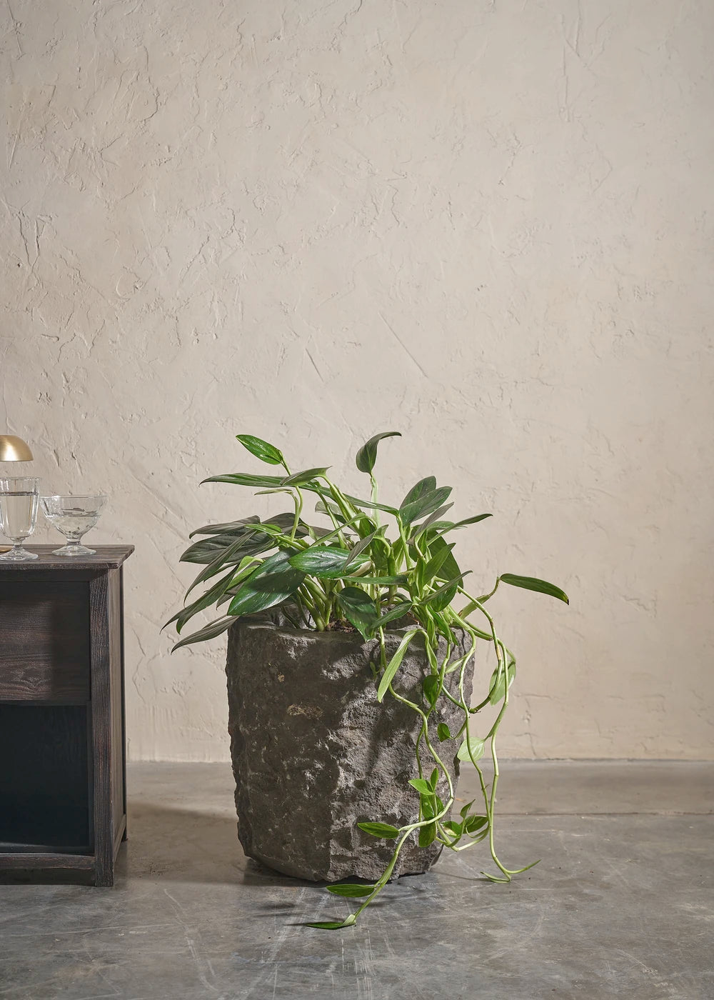 Small-Andesite-01-Yes-Plntd-Lifestyle_8188129b