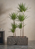 Small-Andesite-02-Yes-Plntd-Lifestyle_4f9a3ae0