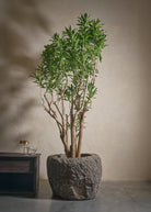 Small-Andesite-03-Yes-Plntd-Lifestyle_05544dce