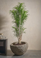 Small-Andesite-04-Yes-Plntd-Lifestyle_1eeb2ca1