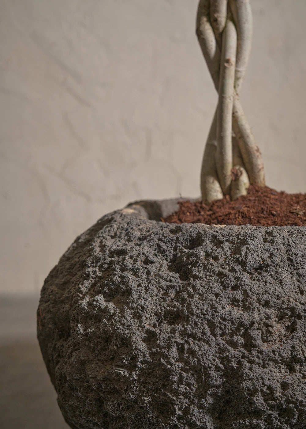 Small-Andesite-06-Plntd-Lifestyle-3