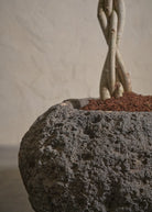 Small-Andesite-06-Plntd-Lifestyle-3