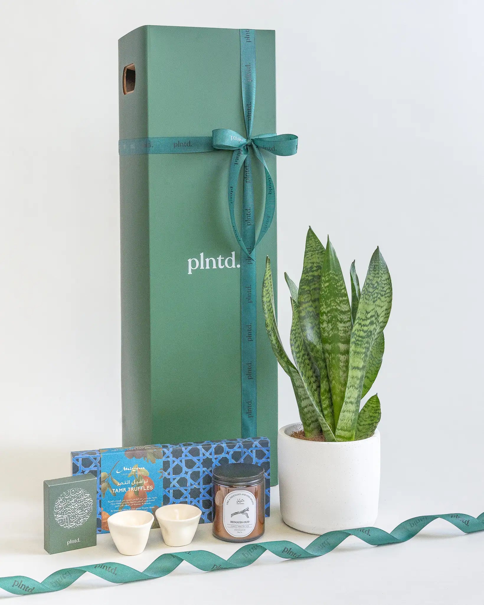 Potted anthurium plant beside a tall red gift box with a ribbon.