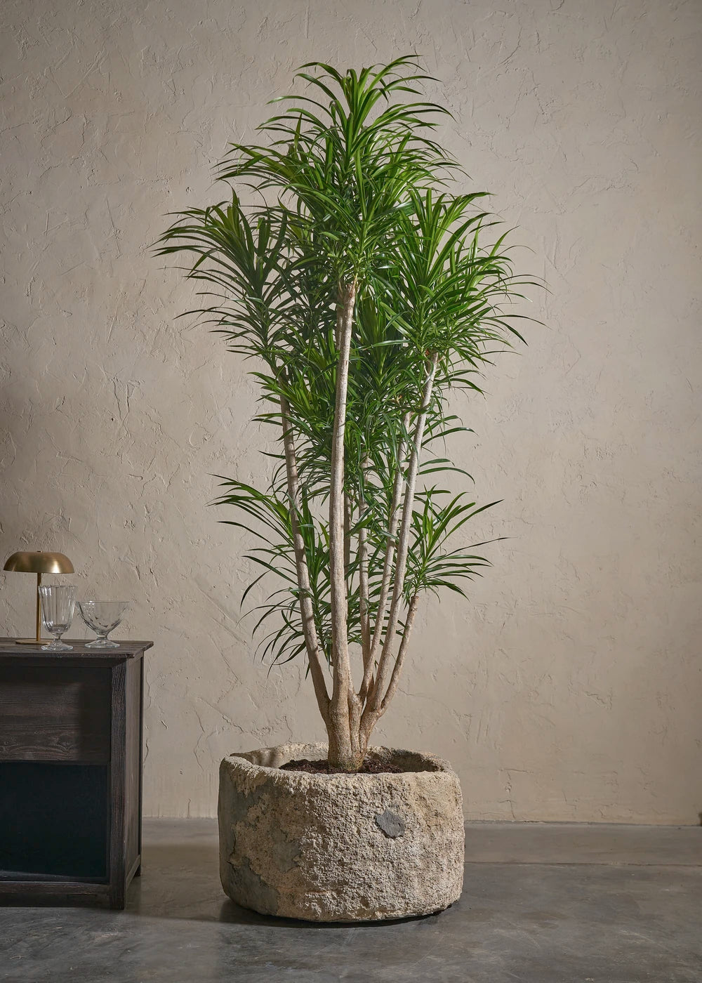 Small-Limestone-01-Yes-Plntd-Lifestyle_fae5de06