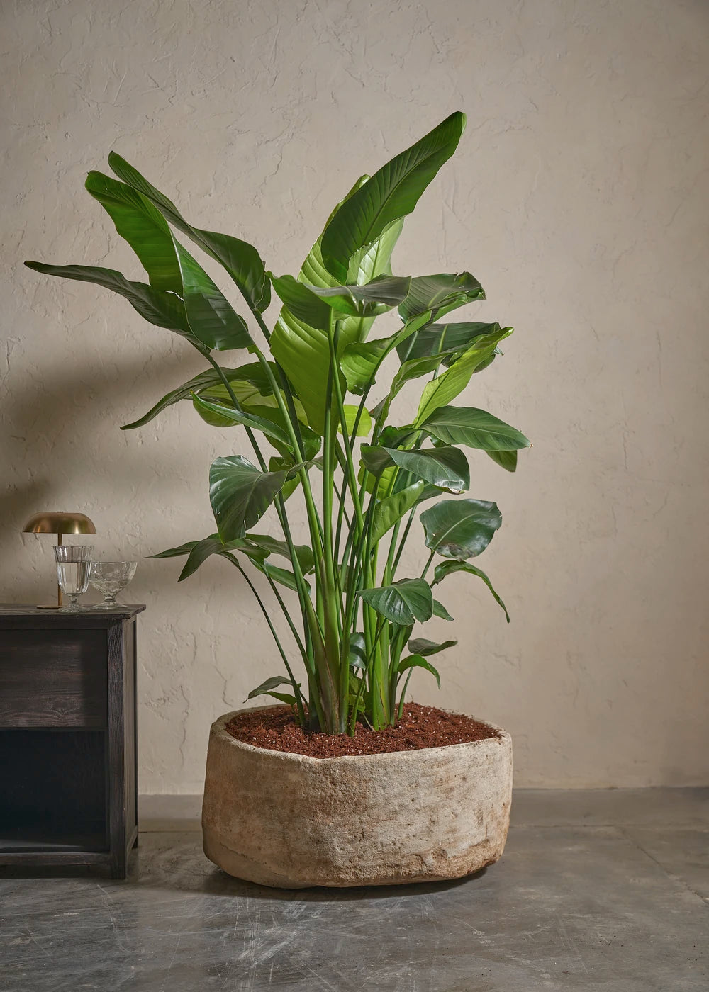 Small-Limestone-02-Yes-Plntd-Lifestyle_a3219eb8