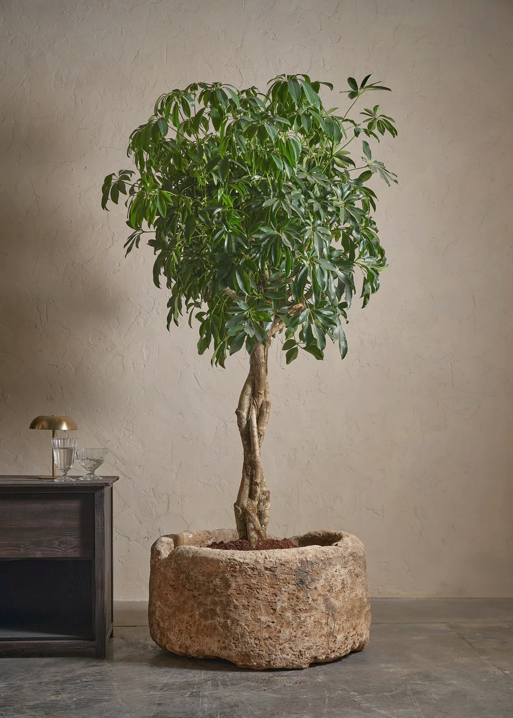 Small-Limestone-03-Yes-Plntd-Lifestyle
