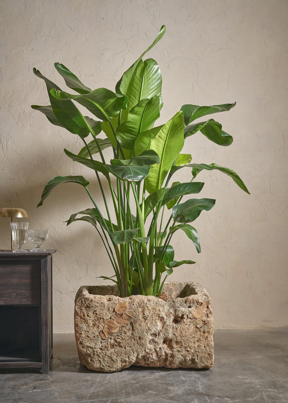 Small-Limestone-04-Yes-Plntd-Lifestyle_65418e1d