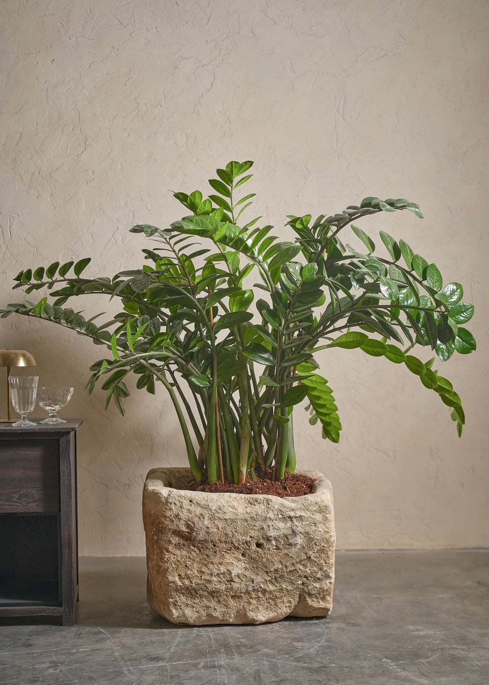 Small-Limestone-05-Yes-Plntd-Lifestyle_87569190