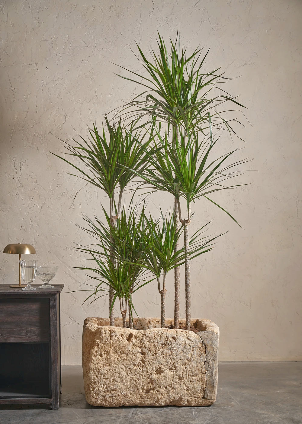 Small-Limestone-06-Yes-Plntd-Lifestyle_d456b4f3