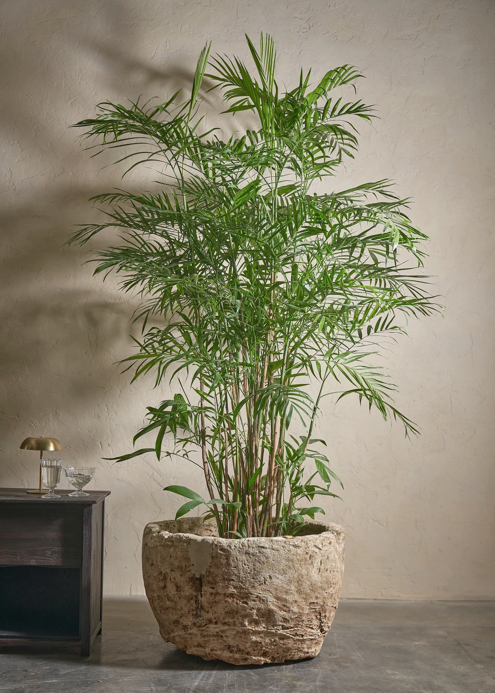 Small-Limestone-07-Yes-Plntd-Lifestyle_dd7838b7