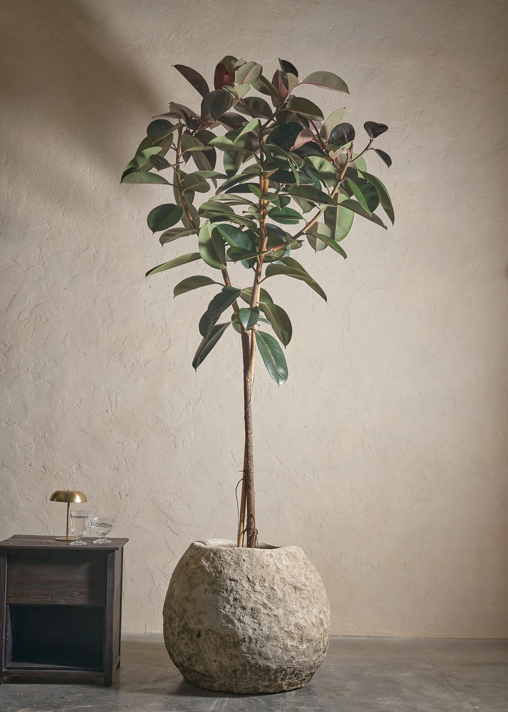 Small-Limestone-08-Yes-Plntd-Lifestyle_13eddd79