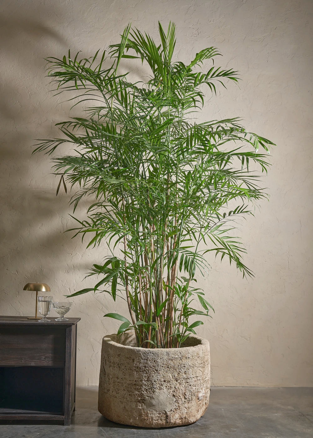 Small-Limestone-09-Yes-Plntd-Lifestyle_fa14a9c6
