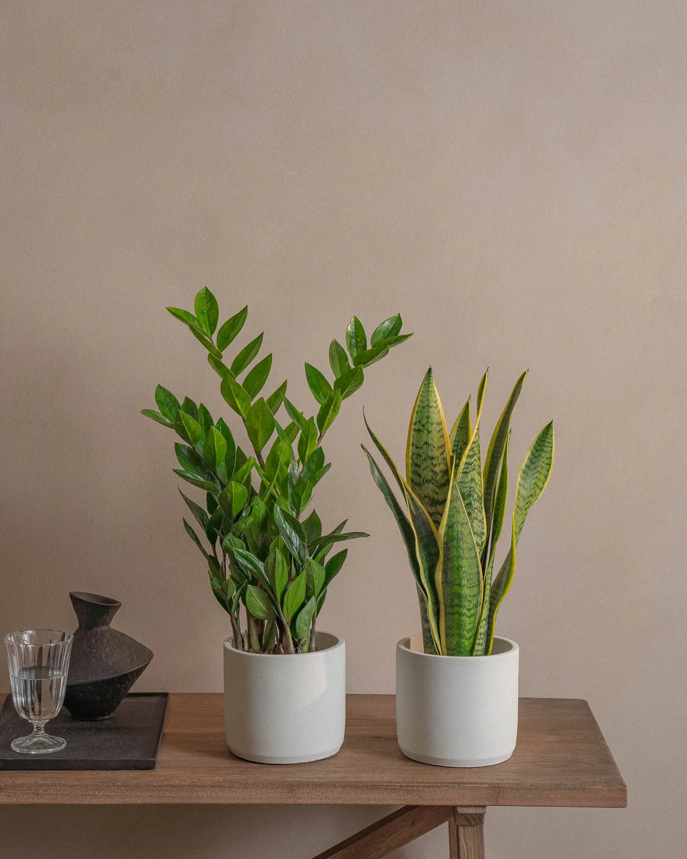 Small-Small-Beginner-Set-Plntd-Lifestyle