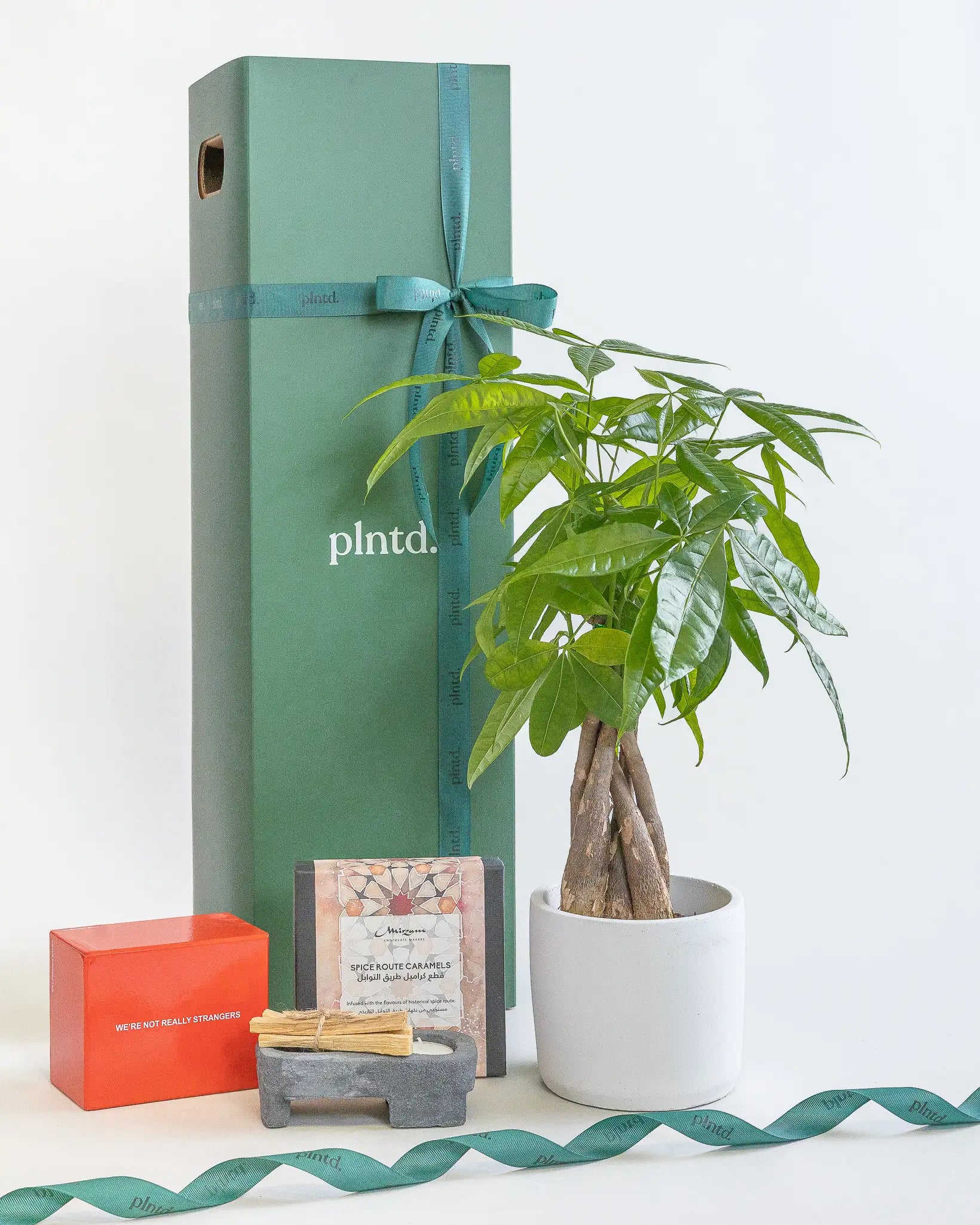 Potted anthurium plant beside a tall red gift box with a ribbon.