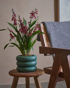 Valentine Orchid-60cm-Meyer-Slate Green-Plntd-Lifestyle